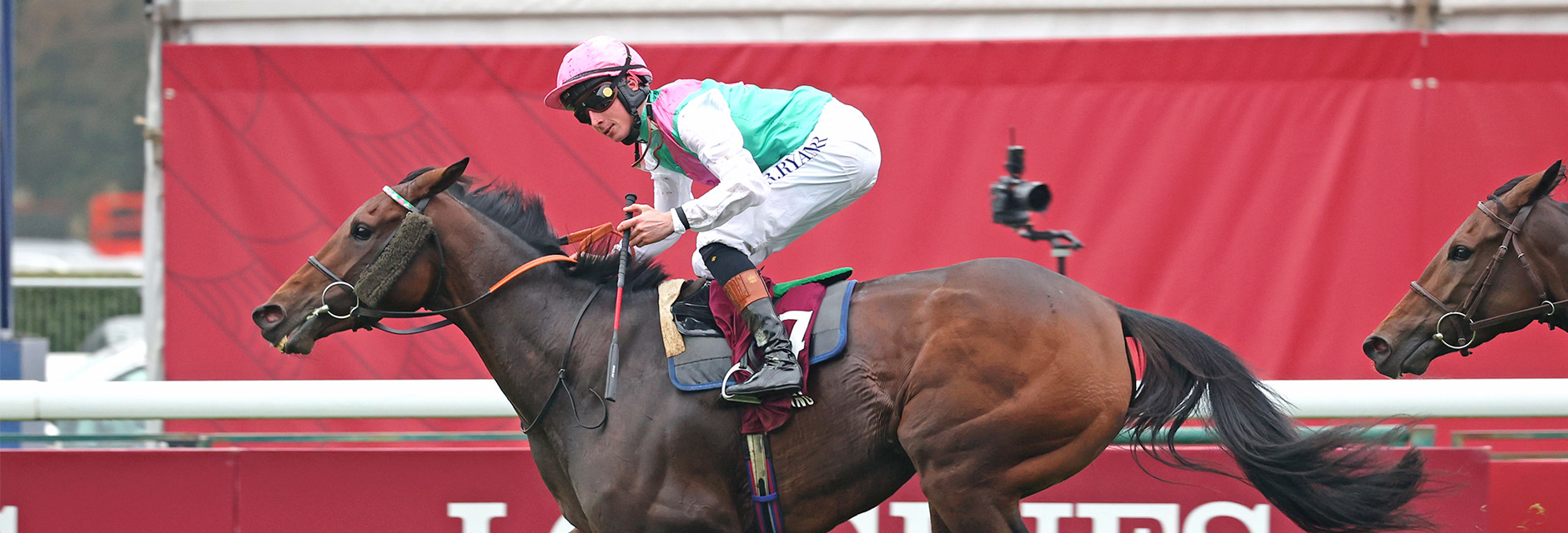 ジャパンカップ外国馬の現地購入馬券 パンサラッサ (第43回ジャパンカップ) 馬券ポーチ | 馬site
