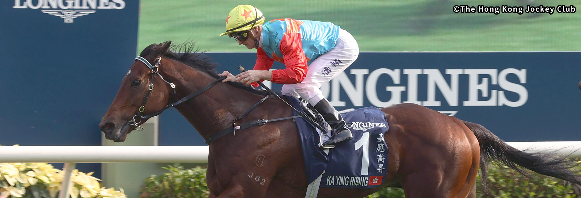 ���`�X�v�����g �C���[�W