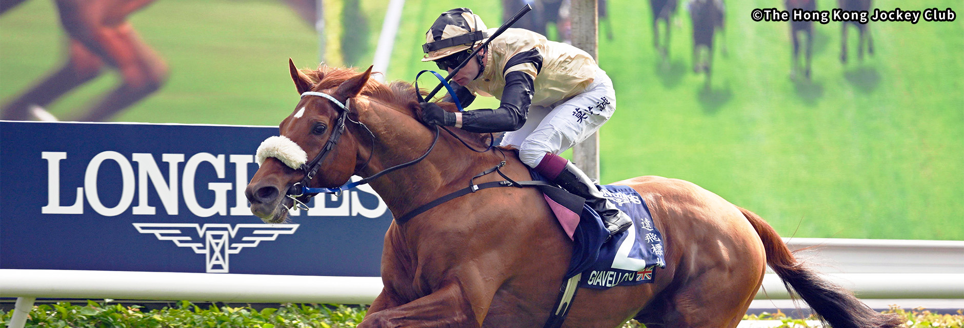 ���`���@�[�Y �C���[�W