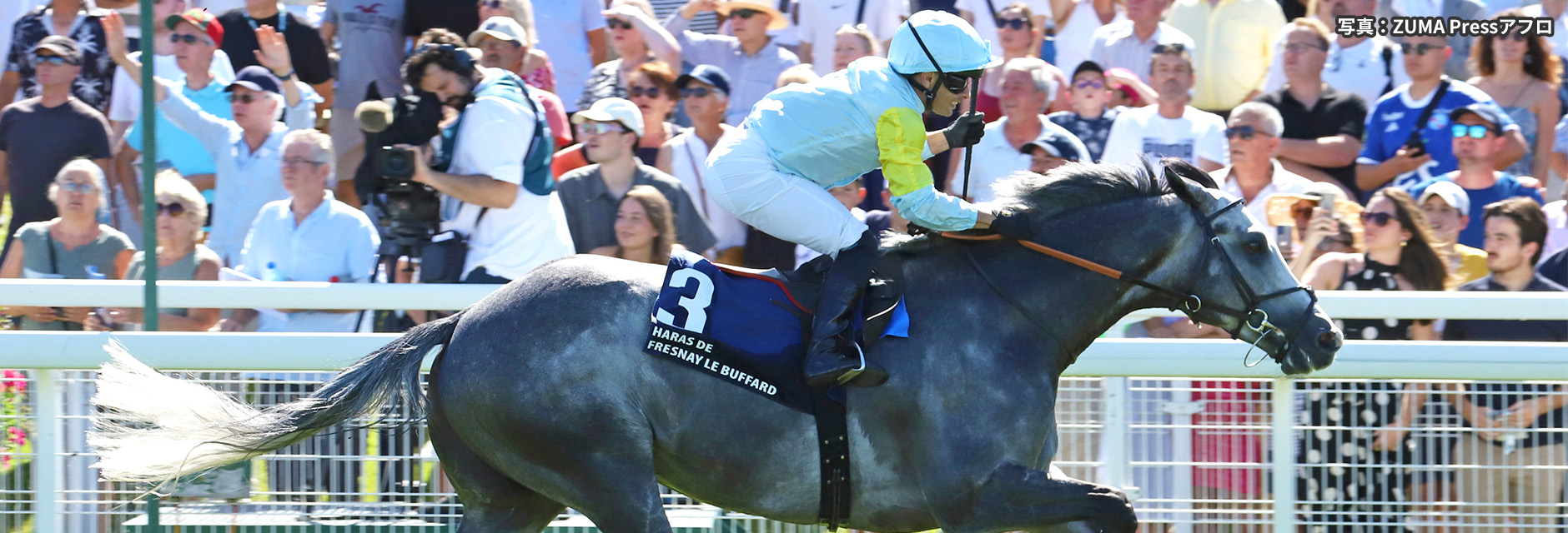 海外競馬発売 JRA