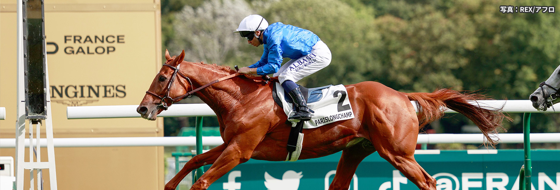 ジャパンカップ外国馬の現地購入馬券 海外競馬発売 JRA