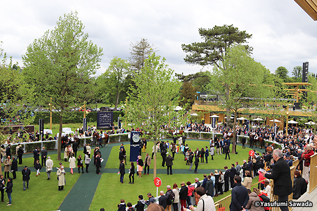 パリロンシャン競馬場 競馬場 コース紹介 フランス競馬 各国の競馬 海外競馬発売 Jra