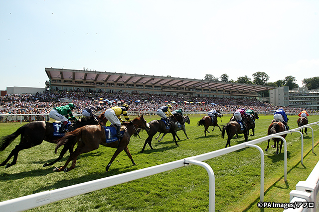 ダウン 場 サン 競馬