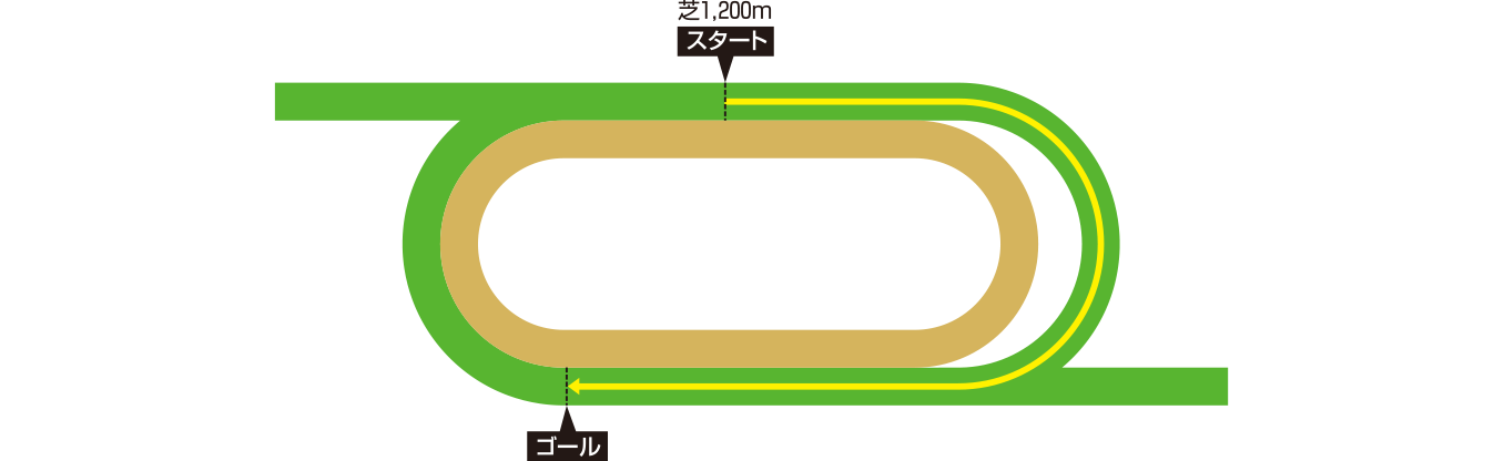 シャティン競馬場コースイメージ