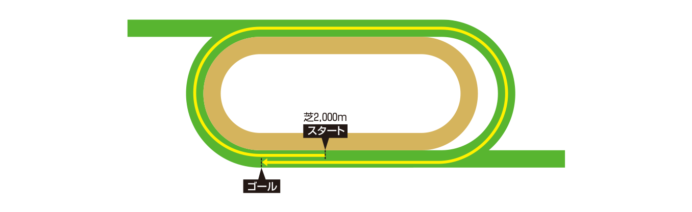 シャティン競馬場コースイメージ