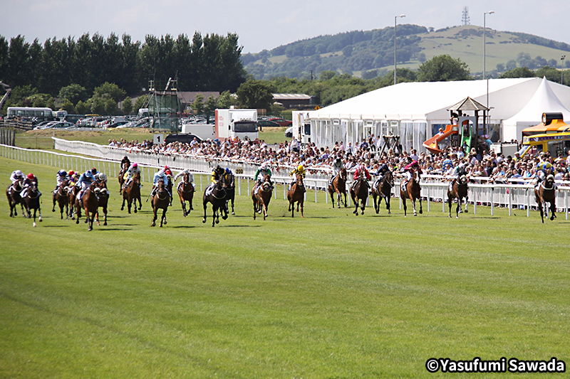 アイルランド競馬の概要 アイルランド競馬 各国の競馬 海外競馬発売 Jra