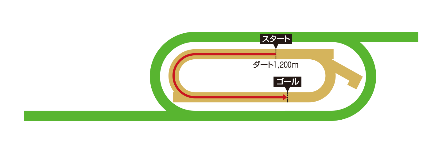 メイダン競馬場コースイメージ