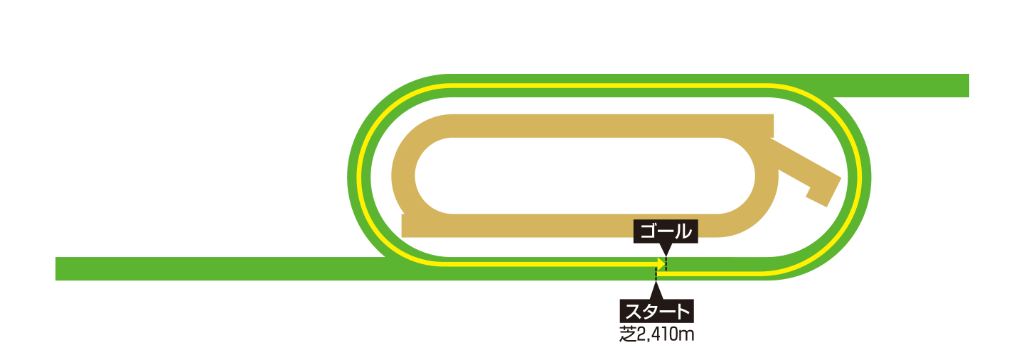 メイダン競馬場 コース図