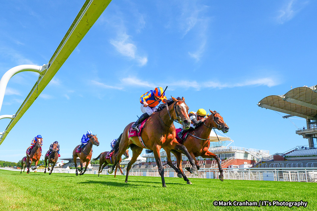 海外競馬発売 Jra
