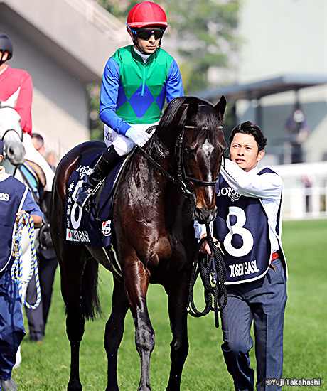 レース結果・回顧：2017年香港ヴァーズ 海外競馬発売 JRA