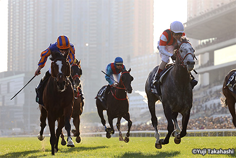 レース結果・回顧：2019年香港カップ 海外競馬発売 JRA