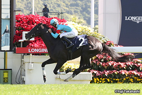 レース結果・回顧：2019年香港ヴァーズ 海外競馬発売 JRA