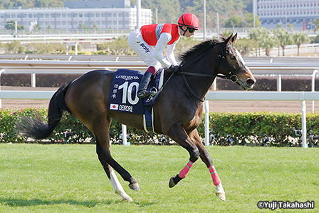 2019年開催 香港国際競馬 日本馬記念馬券-