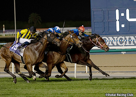 レース結果：2022年ドバイターフ 海外競馬発売 JRA