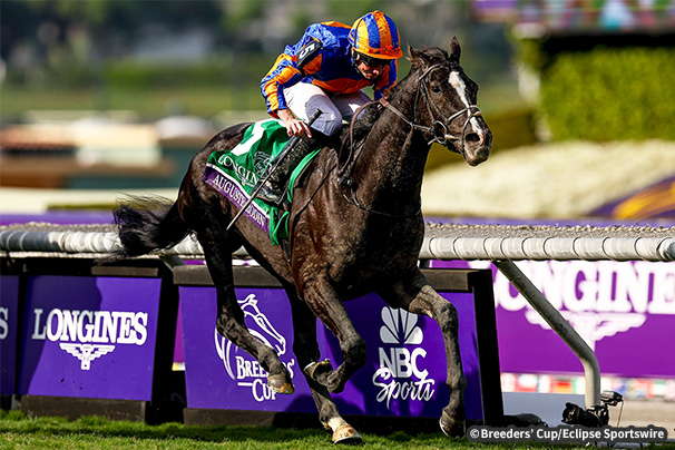 オーギュストロダン　ブリーダーズカップターフ記念単勝馬券