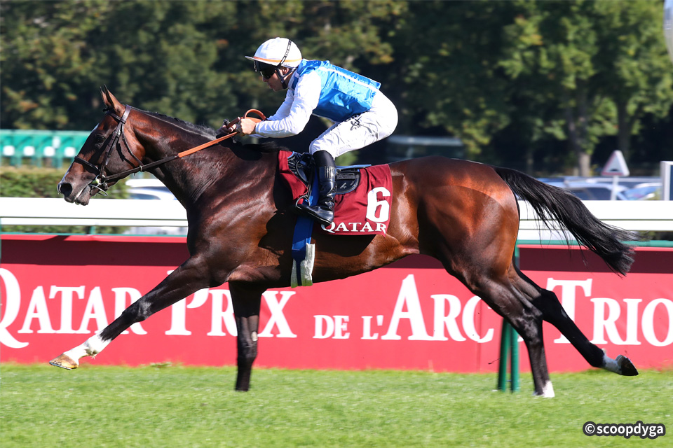 出走馬情報：2024年凱旋門賞 海外競馬発売 JRA