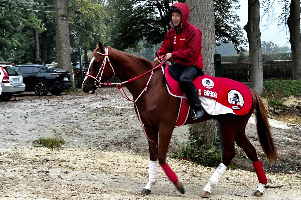 JRA所属馬近況：2024年凱旋門賞 海外競馬発売 JRA