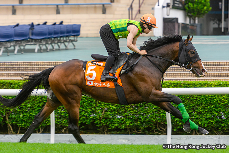 競馬ファンの方、海外レース、優勝馬 競馬ファンの方、海外レース、優勝馬