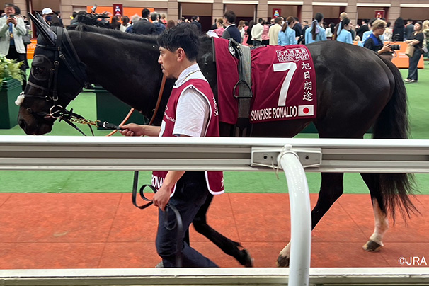 競馬ファン集まれ！の7754の画像