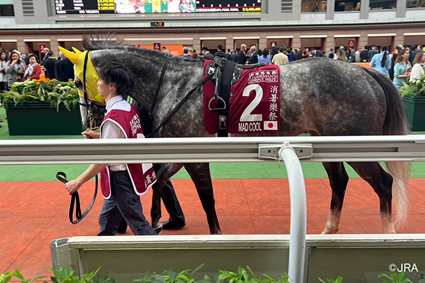 競馬ファン集まれ！の7754の画像