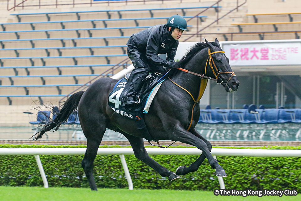 日本馬近況：2024年クイーンエリザベスⅡ世カップ 海外競馬発売 JRA
