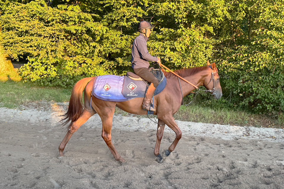 JRA所属馬近況：2025年凱旋門賞 海外競馬発売 JRA