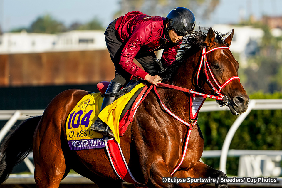 JRA所属馬近況：2025年ブリーダーズカップクラシック 海外競馬発売 JRA