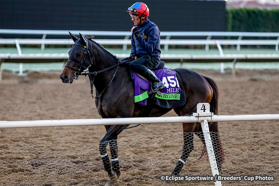 JRA所属馬近況：2025年ブリーダーズカップマイル 海外競馬発売 JRA