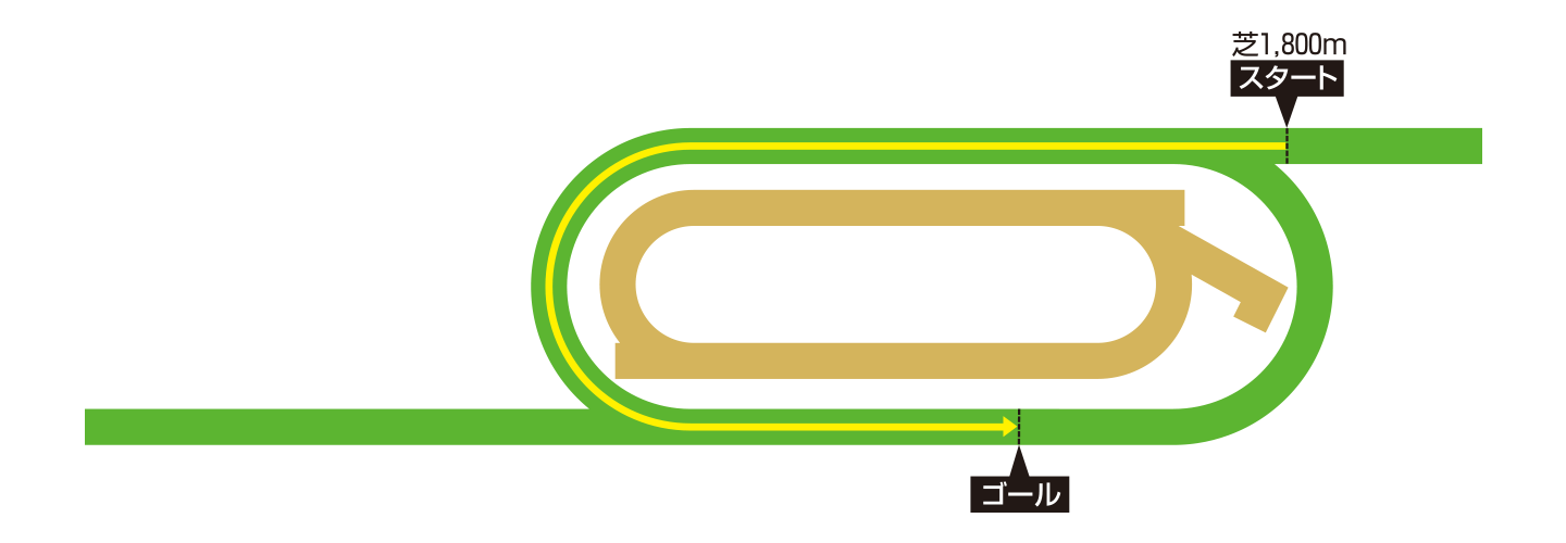 C_n 1,800[g̃R[X}