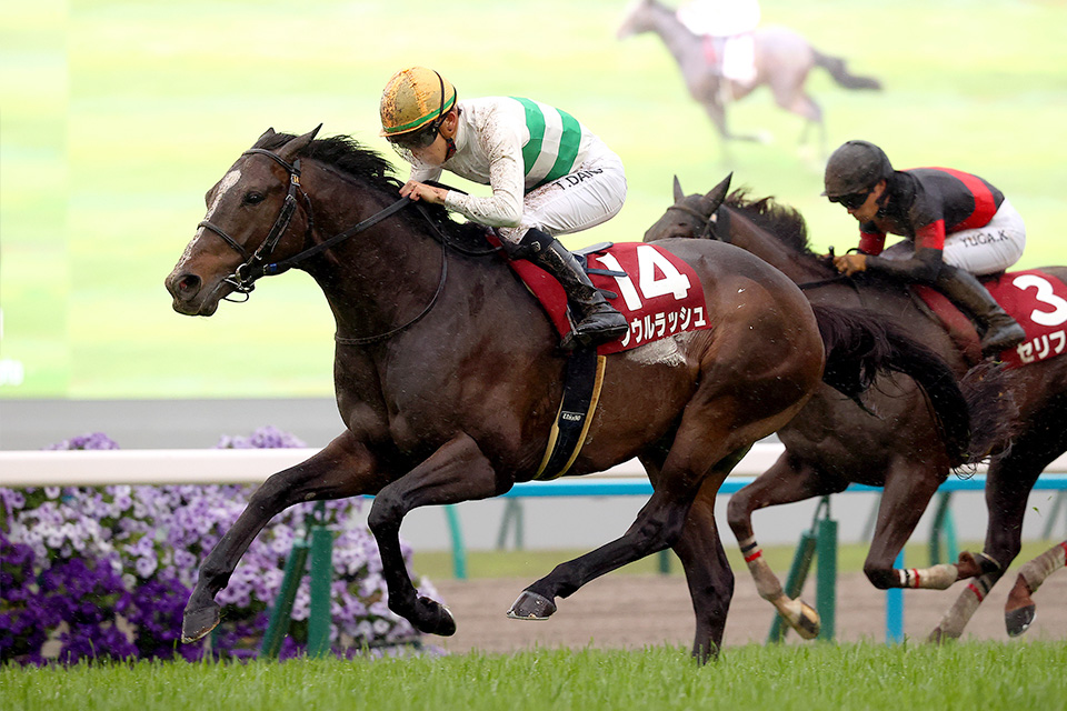 JRA所属馬近況：2025年ドバイターフ 海外競馬発売 JRA