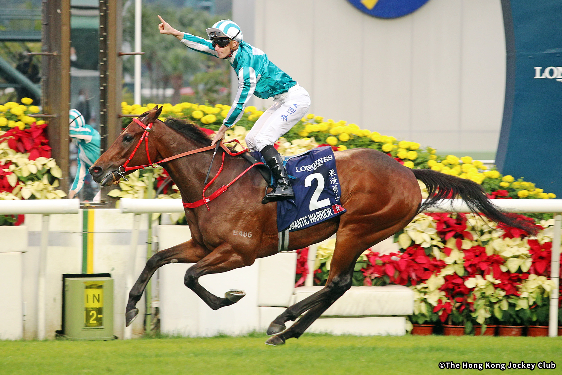 2022�N �D���n�F���}���`�b�N�E�H���A�[