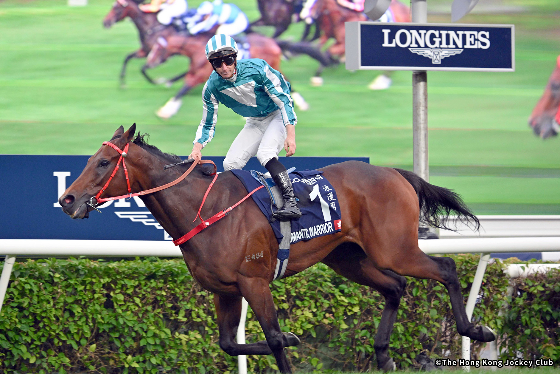 2024�N �D���n�F���}���`�b�N�E�H���A�[