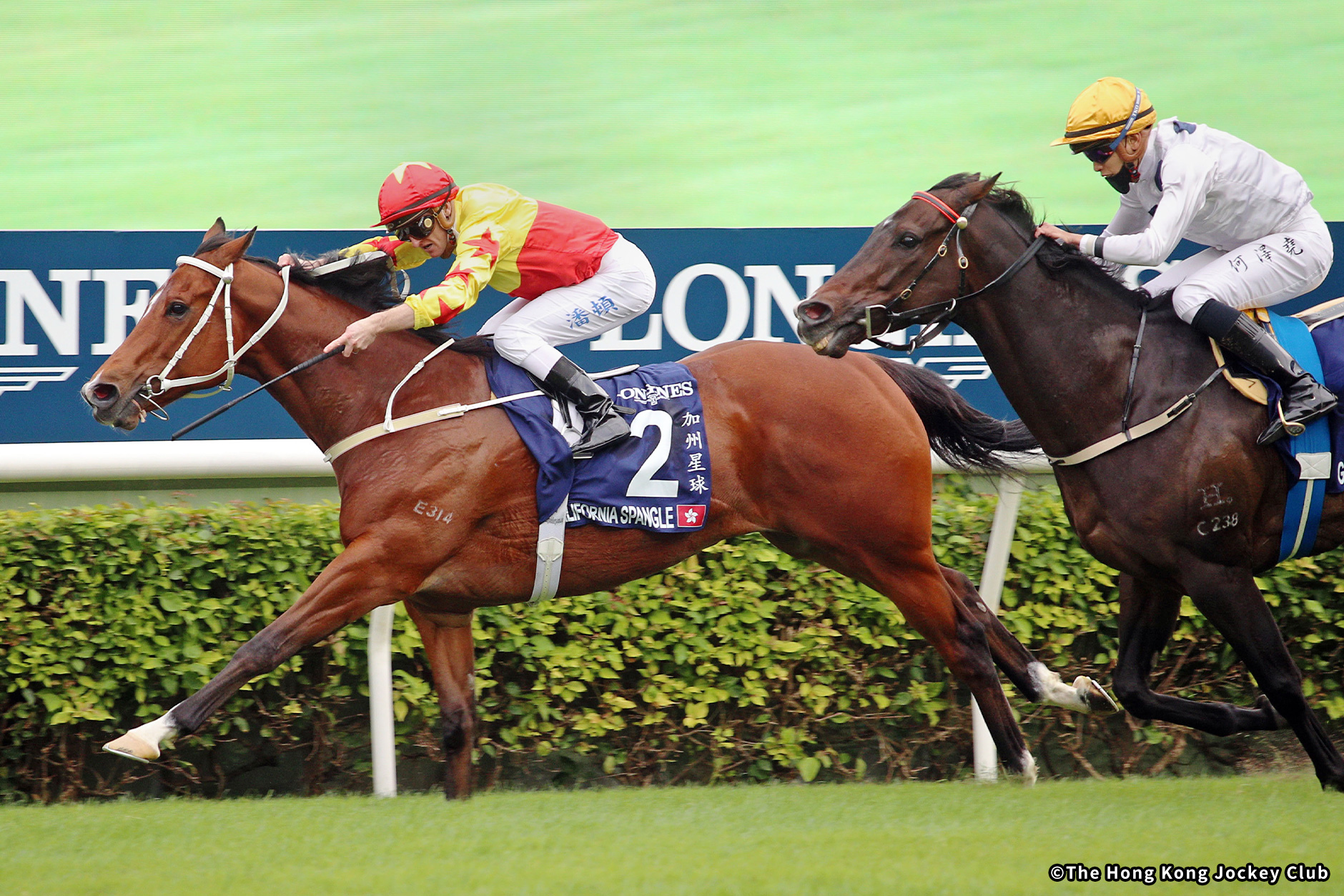 2022�N �D���n�F�J���t�H���j�A�X�p���O��