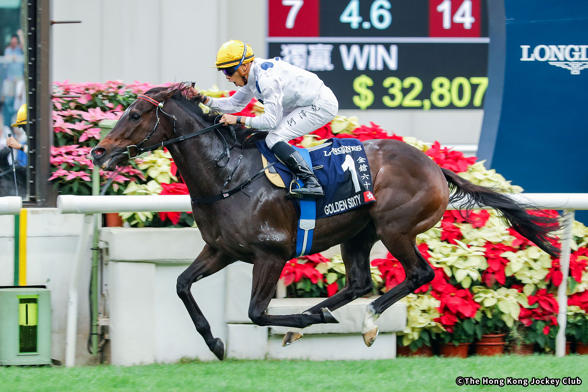 2023�N �D���n�F�S�[���f���V�b�N�X�e�B