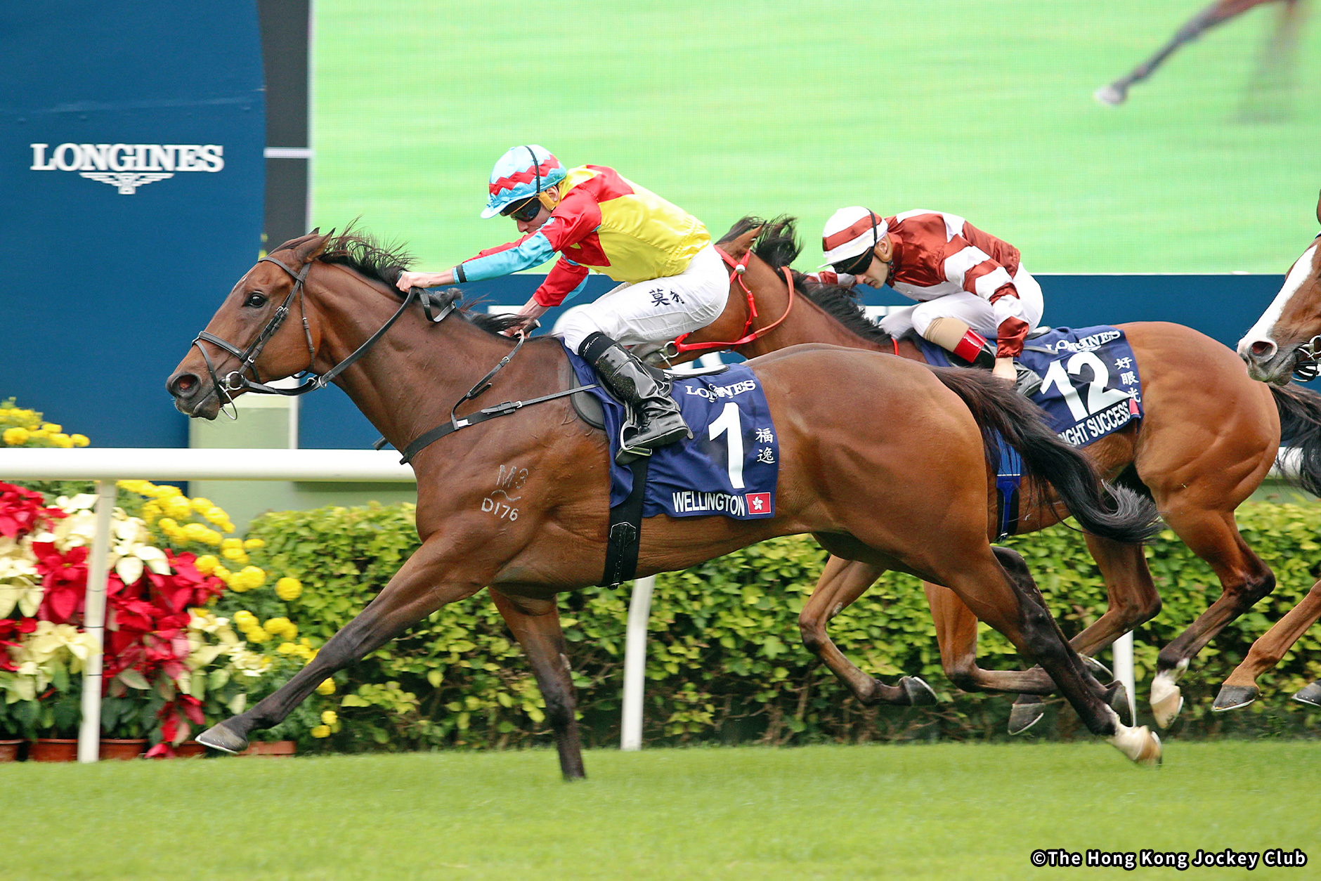 2022�N �D���n�F�E�F�����g��