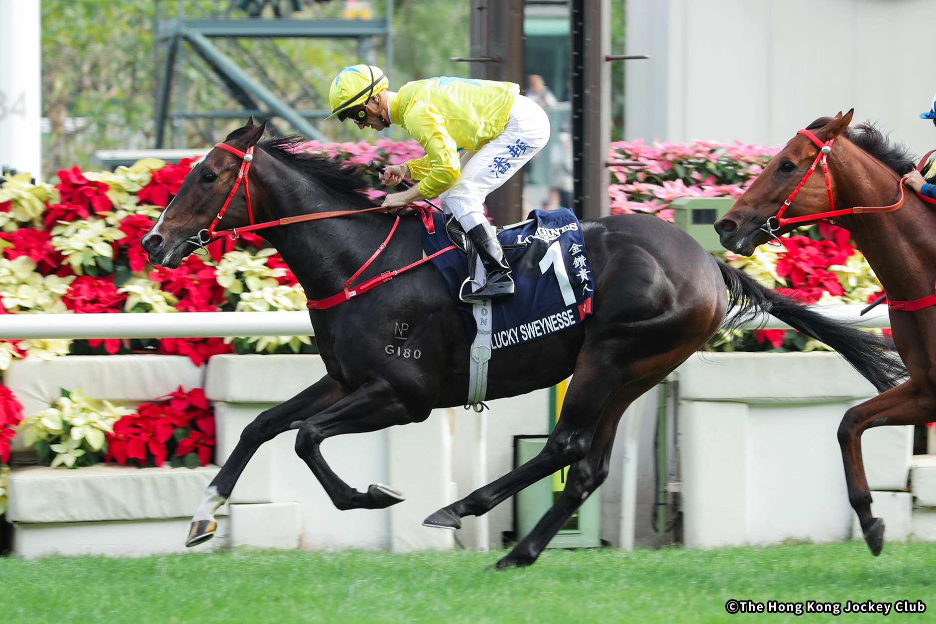 レース概要｜レース情報：2025年香港スプリント 海外競馬発売 JRA