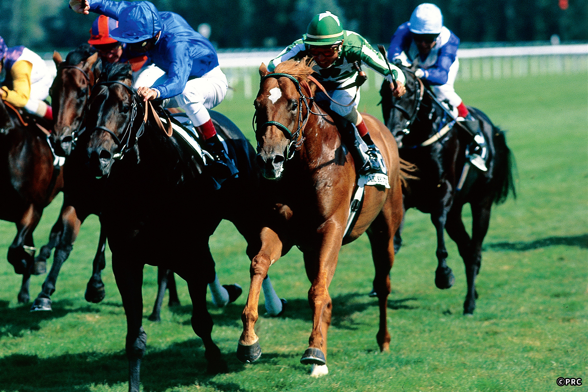 1998N DnF^CLVg