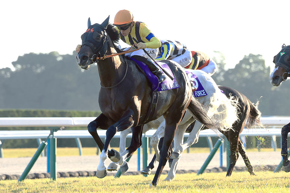 出走馬情報：2026年チャンピオンズマイル 海外競馬発売 JRA