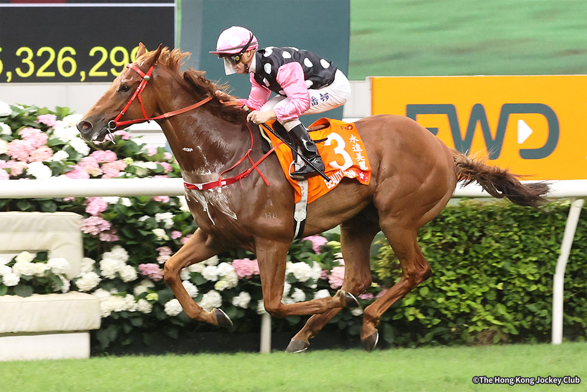 2024�N �D���n�F�r���[�e�B�[�G�^�[�i��