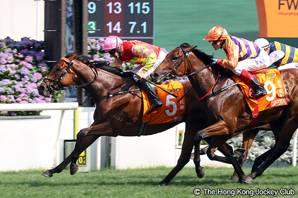 レース結果：2026年チャンピオンズマイル 海外競馬発売 JRA