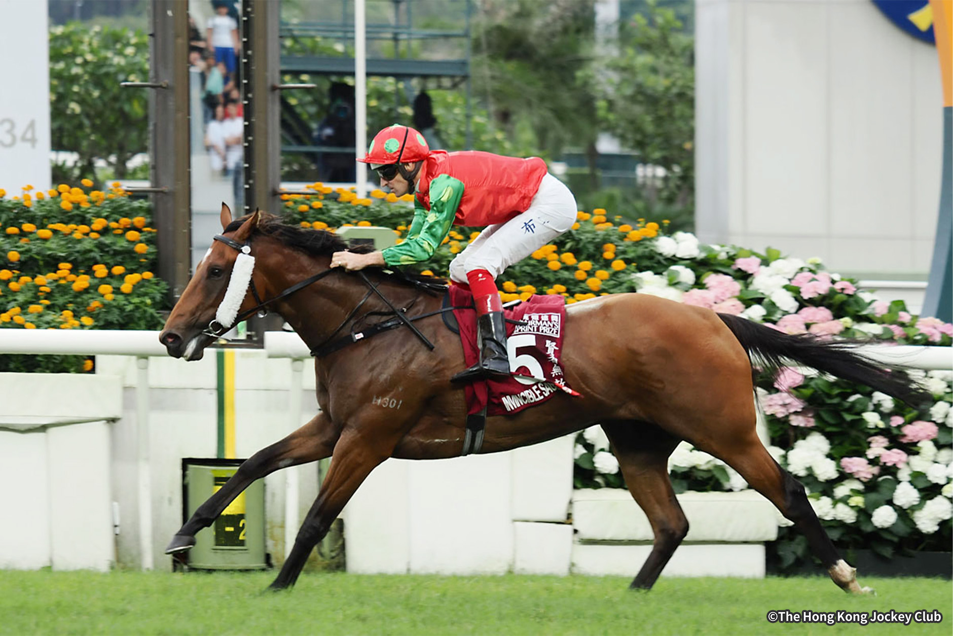 2024�N �D���n�F�C���r���V�u���Z�[�W