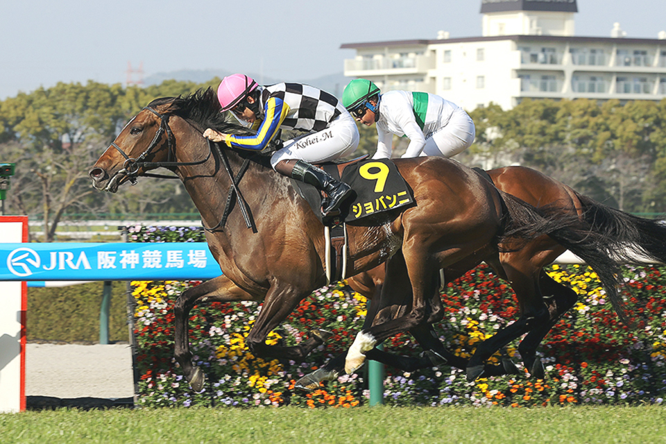 出走馬情報：2026年クイーンエリザベスⅡ世カップ 海外競馬発売 JRA