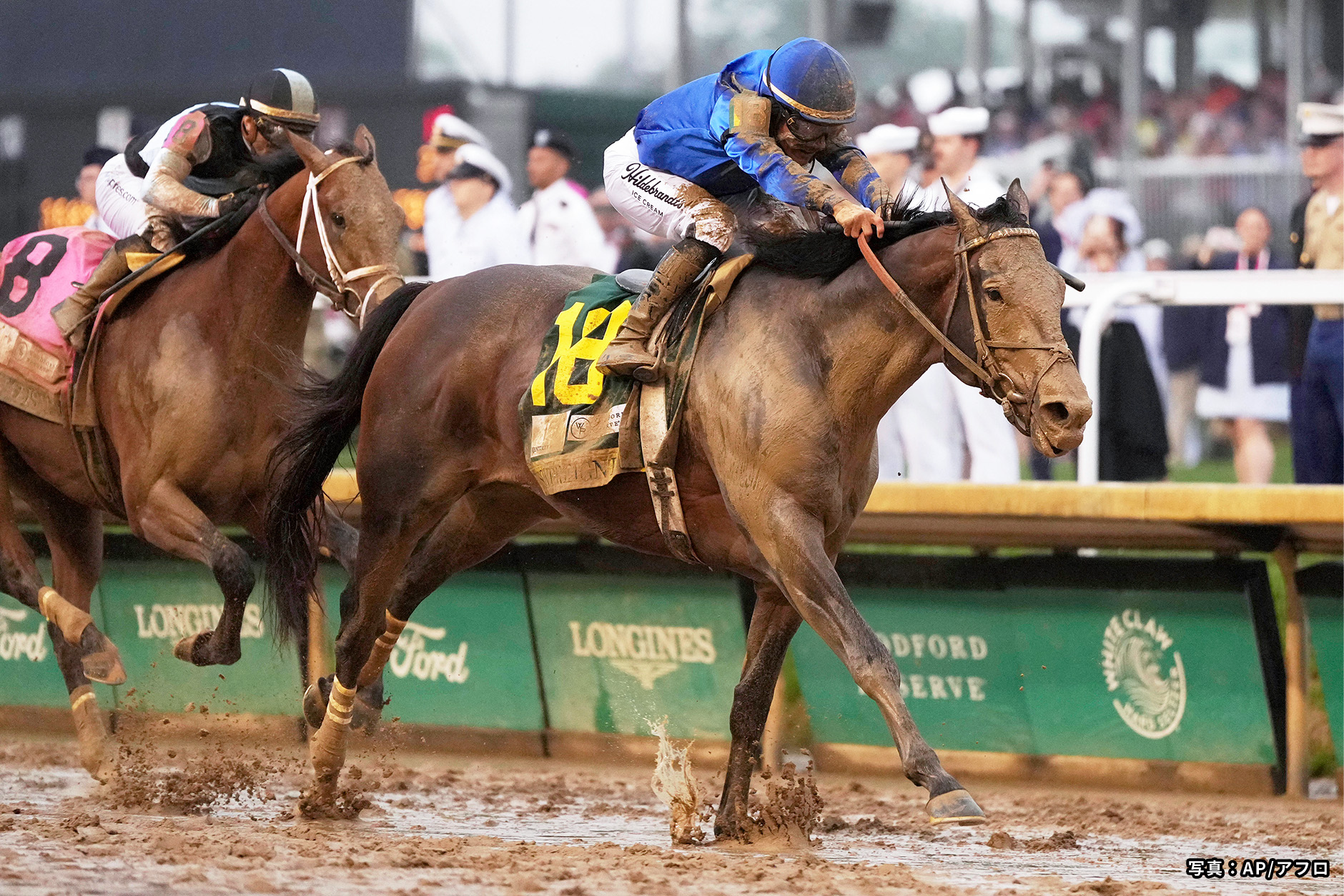 2025�N �D���n�F�\�������e�B