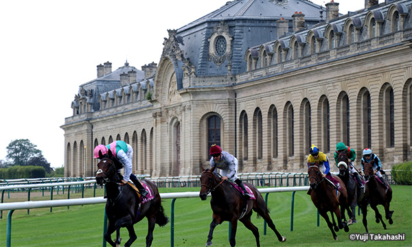 France Galop フランス ギャロ Jra