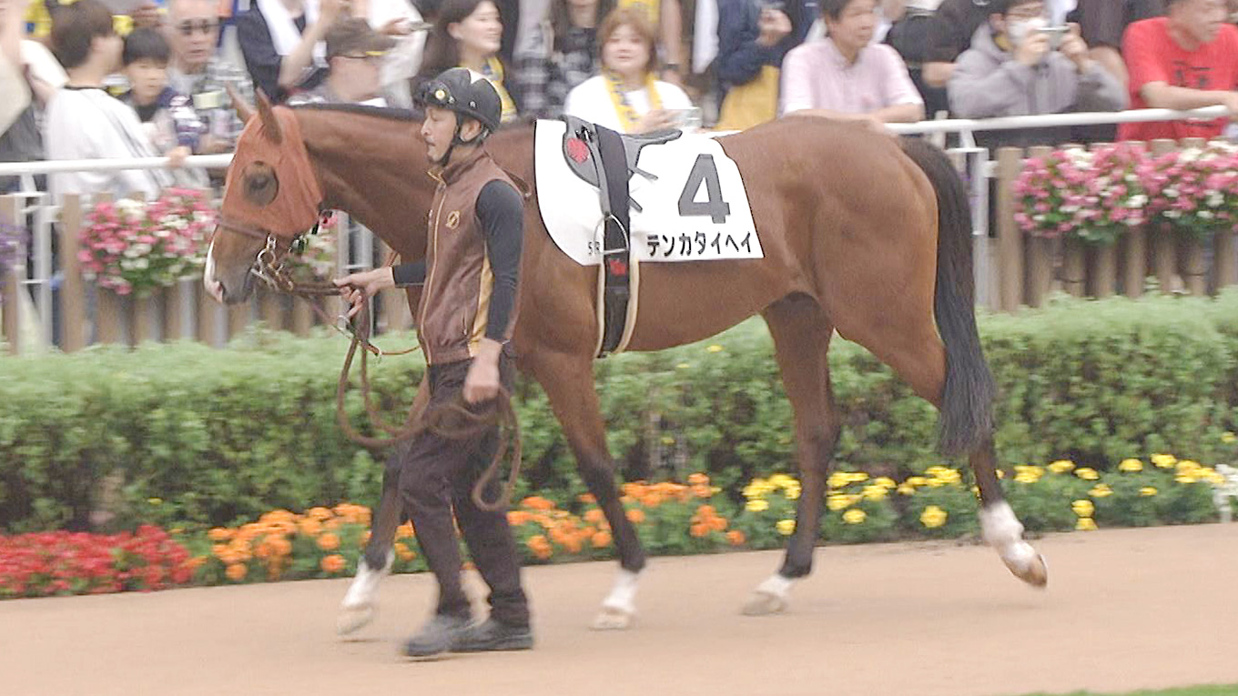 出走馬情報 2026年札幌2歳ステークス（GⅢ） JRA