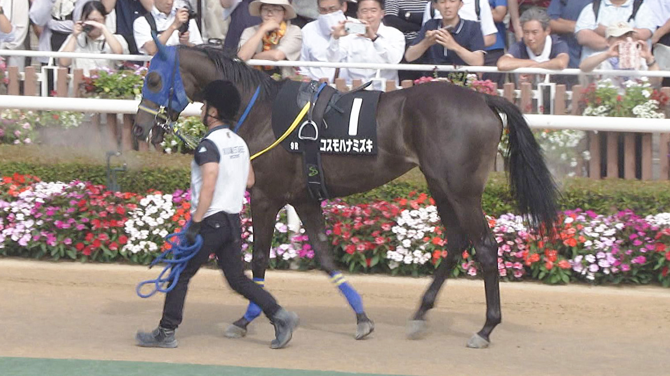 NEW ザ・競馬 II 農林水産省賞典 札幌2歳ステークス GⅢ 2026】「新馬