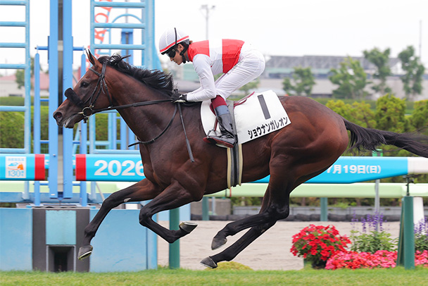 出走馬情報 2026年札幌2歳ステークス（GⅢ） JRA