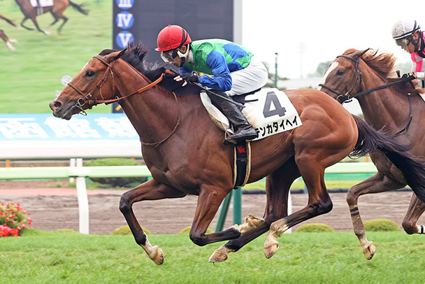 出走馬情報 2026年札幌2歳ステークス（GⅢ） JRA