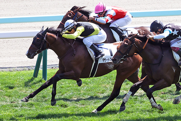出走馬情報 2026年札幌2歳ステークス（GⅢ） JRA