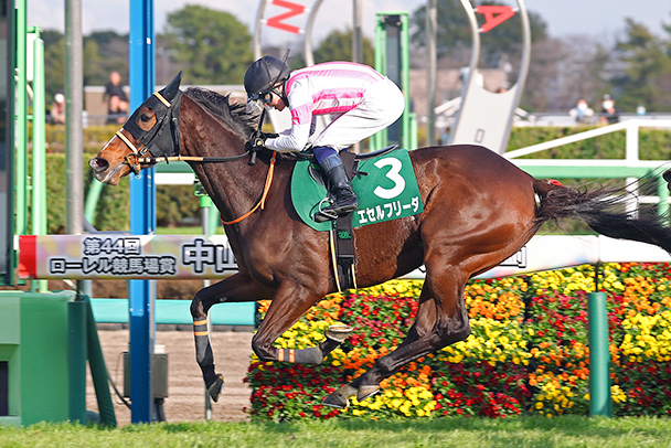 出走馬情報 2026年産経賞オールカマー（GⅡ） JRA